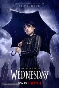 ملصق فيلم أو مسلسل من مكتبة iNSTAVUE رقم 14